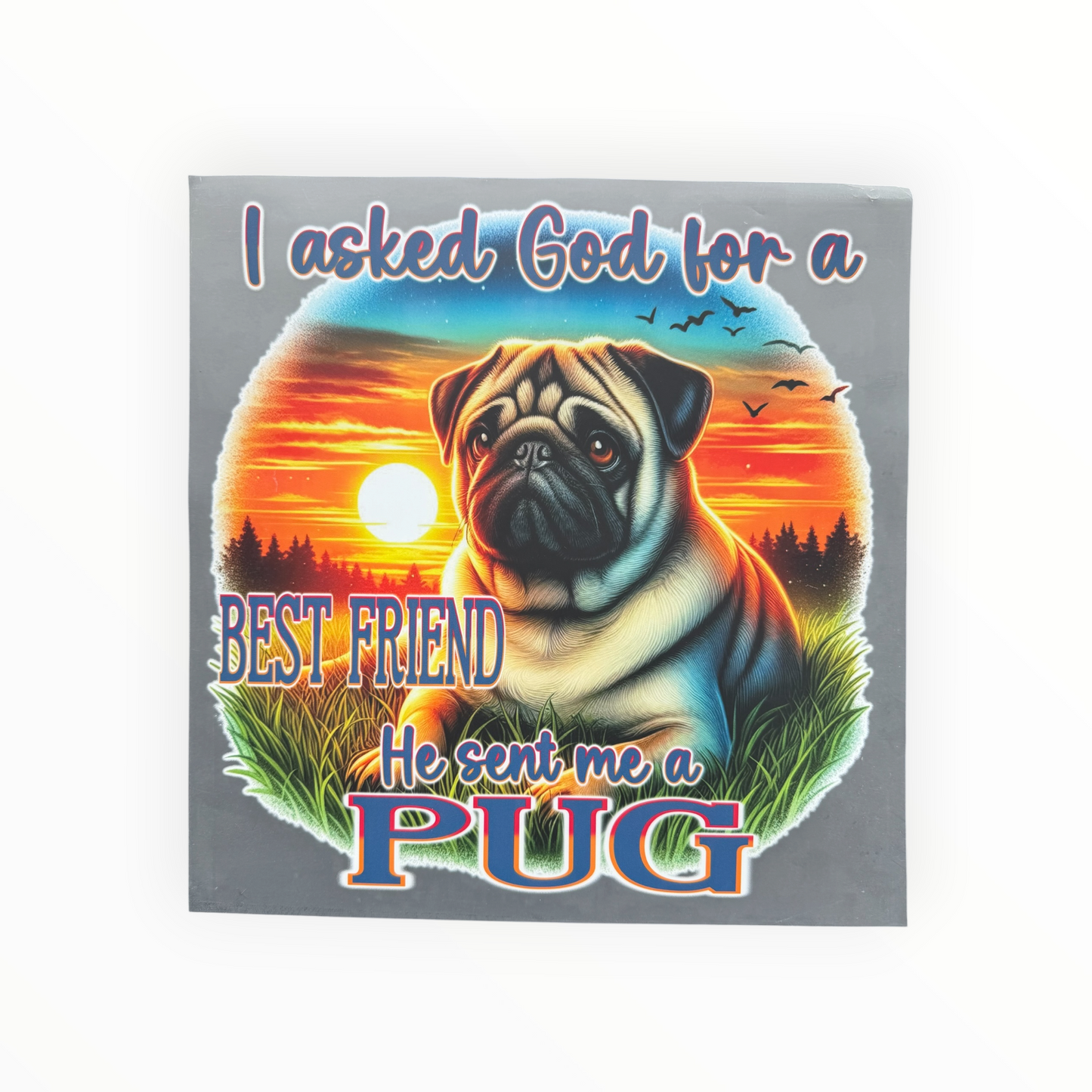 I Asked God for a Best Friend He Sent Me a Pug DTF Print