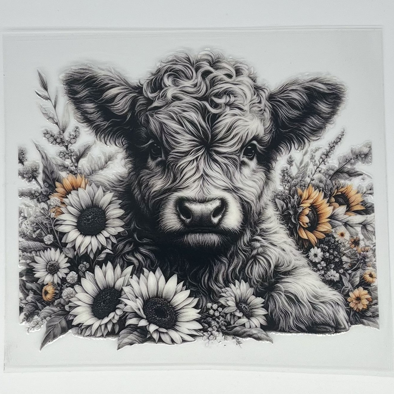 Black & White Sunflower Highland Cow UV DTF Decal